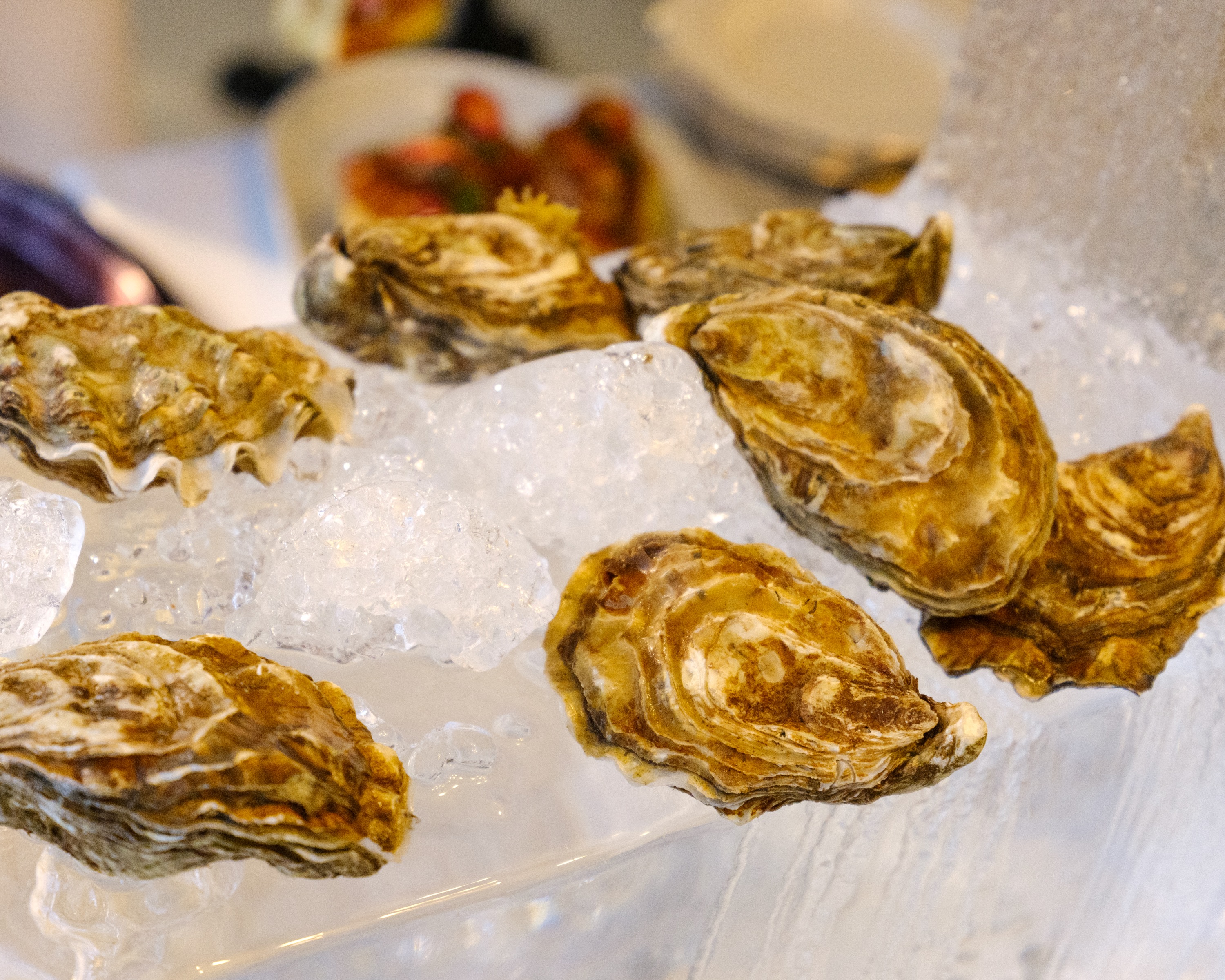 Oyster Sunday Brutangerie